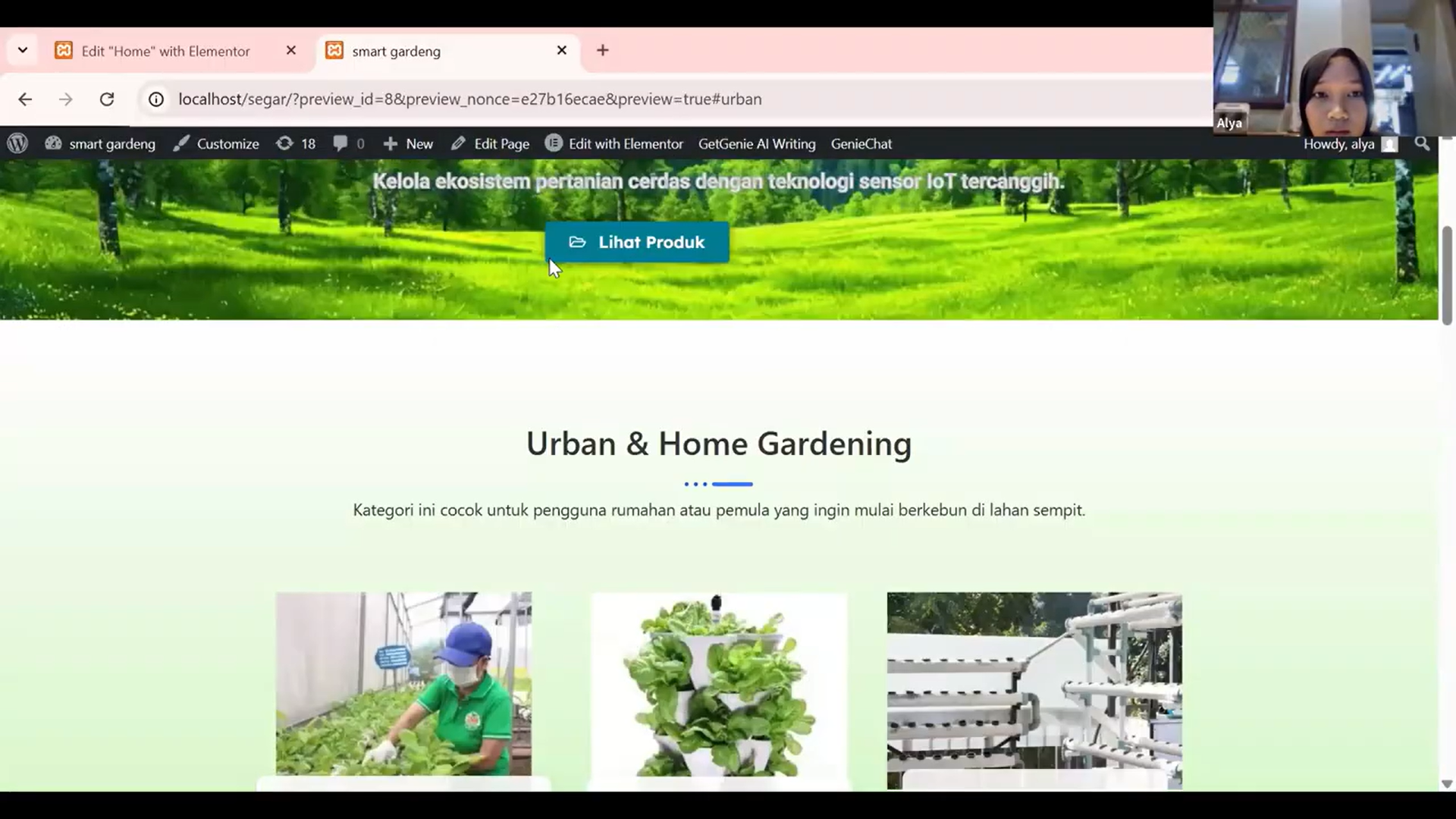 seo-segar (2)
