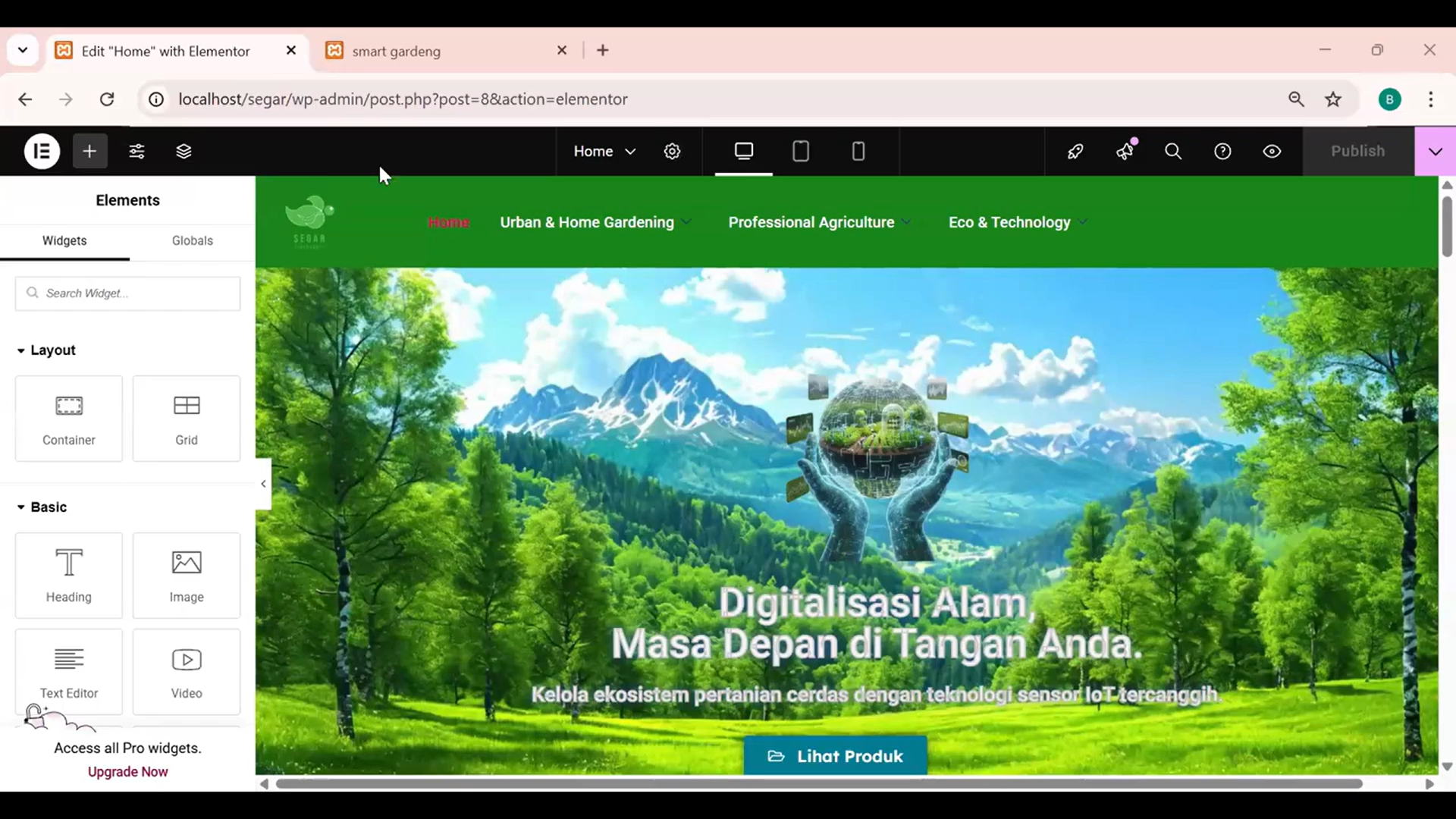 seo-segar (3)